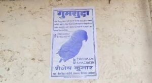 Read more about the article Ayodhya: Prize For Searching Parrot Is 10 Thousand Rupees. – Amar Ujala Hindi News Live