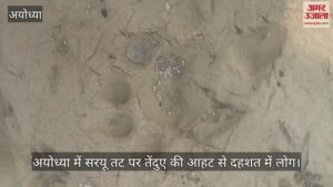 Read more about the article People in panic due to the sound of leopard on the banks of Saryu in Ayodhya, forest department is monitoring