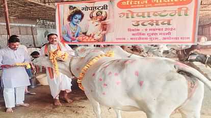 Gopasthami was celebrated with great pomp in temples and cow shelters in Ayodhya